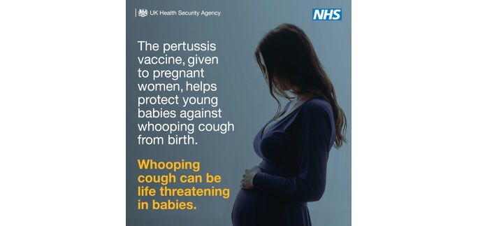 The pertussis vaccine, given to pregnant women, helps protect young babies against whooping cough from birth
