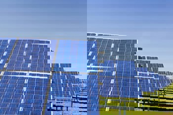 Rows of blue solar panels stand on a green field under a clear blue sky.